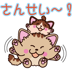 [LINEスタンプ] まるねこ 花蘭＆夢蘭 fetchpriority=high