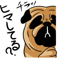 [LINEスタンプ] パグしてる？