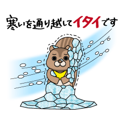 [LINEスタンプ] 海賊リス「ましゃむね」 第1弾 