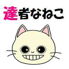 [LINEスタンプ] 達者なねこ 