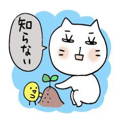 [LINEスタンプ] リアクション猫決定版！どんなときも 