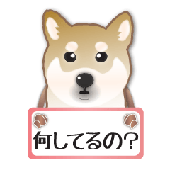 [LINEスタンプ] 毎日使える～！柴犬さんの連絡スタンプ fetchpriority=high