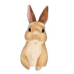 [LINEスタンプ] 兎好きのためのリアルうさぎスタンプ 