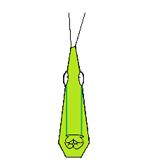 [LINEスタンプ] ショウリョウバッタ 
