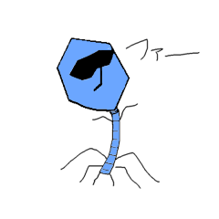 [LINEスタンプ] Mr.ファージ 