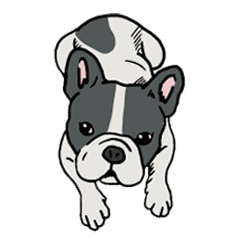 [LINEスタンプ] いろんなフレンチブル 