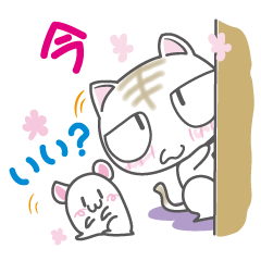 [LINEスタンプ] 目つきが悪ニャンのスタンプ 