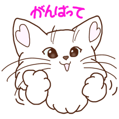 [LINEスタンプ] アニメ猫ちゃん fetchpriority=high