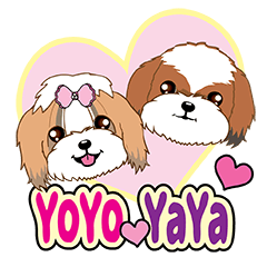 [LINEスタンプ] Shih Tzu Couple YaYa ＆ YoYo 