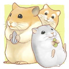 [LINEスタンプ] ちいさなハムスター達と荒ぶるハムスター 