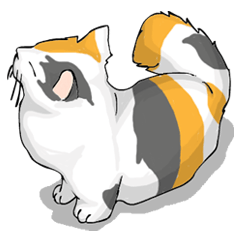 [LINEスタンプ] 猫まみれ 
