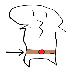 [LINEスタンプ] あかし 