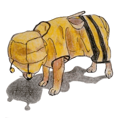 [LINEスタンプ] 柴犬のここが好き2 