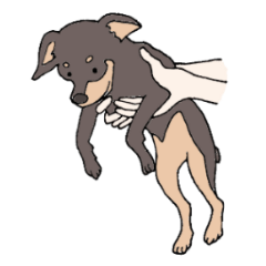 [LINEスタンプ] ミニピンけんちゃん 