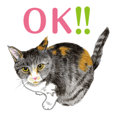 [LINEスタンプ] ねこのみるくちゃん 