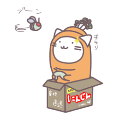 [LINEスタンプ] ねこにんじん 
