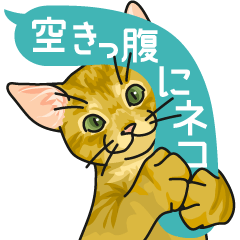[LINEスタンプ] 空きっ腹にネコ 