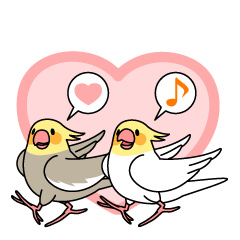 [LINEスタンプ] オカメインコ「おかめいんこちゃん」 