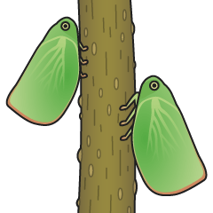 [LINEスタンプ] こっちのハトポッポ 