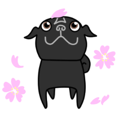 [LINEスタンプ] 黒パグジジの楽しいスタンプ 