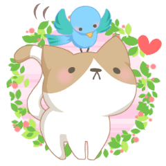 [LINEスタンプ] 【仲良し】猫の日常 