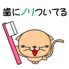 [LINEスタンプ] 言いにくい事を言ってくれる猫 ハチトラ 