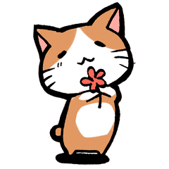[LINEスタンプ] 色々お伝えしたいネコ。 