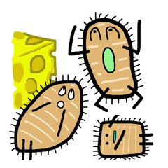 [LINEスタンプ] ぞうり虫のゾウリちゃん 