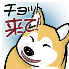 [LINEスタンプ] Tarie basic style 1 