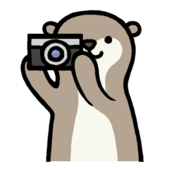 [LINEスタンプ] ゆるいカワウソさん 