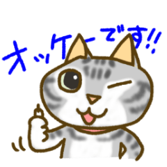 [LINEスタンプ] アメショー猫のポテト 